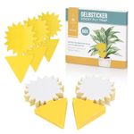 Rovar Yellow Sticker Fly Trap, Pack of 60, Effective Control of Fungus Gnats on Indoor Plants, Extra Large Catching Area (Pack of 060)