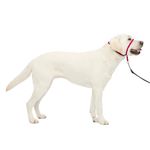 PetSafe Gentle Leader Head Collar with Training DVD, Large 60-130 LBS, Raspberry Pink