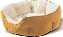 AMICA Velvet Dog Bed, Cat Beds For Indoor Cats, Pet Bed For Puppy And Kitty, Extra Soft & Machine Washable With Anti-Slip & Water-Resistant Oxford Bottom Medium Beige