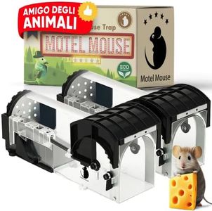 Motel Mous