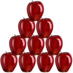 Yunlly 10 Pcs Artificial Apples Faux Apples Bulk Decorative Fake Apples Plastic Apples Centerpiece for Kitchen Home Christmas Festival Centerpieces Photography (Red Delicious)