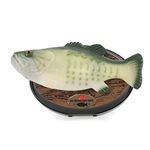 Funtime SS5600 Singing Sensation Billy Bass- Sings I Will Survive, 28 cm Long Colour Green