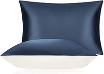 DISANGNI 100% Mulberry Silk Silk Pillowcase, Used for Hair and Skin, Envelope Type, Silk on one Side and Tencel on The Other Side (1pc Standard Size 20" x26" Blue)