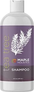 Maple Holistics Tea Tree Oil Shampoo - Pure And Natural For Women And Men - Anti Dandruff Haircare - Safe For Color Treated Hair - Usa Made By