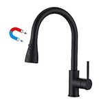 Havin Black Kitchen Faucet with Pul