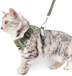 pangdi Cat Harness and Leash Escape