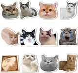 12Pcs Funny Cat Meme Fridge Magnets