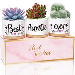 Mothers Day Aunt Gifts from Niece Nephew, Birthday Gifts for Aunt Auntie, Gift Boxed Best Aunt Gifts Mothers Day Auntie Gifts, Best Auntie Ever Gifts Succulent Pots for Plants Indoor Ceramic Planter