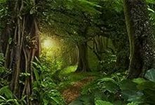 LFEEY 5x3ft Fairytale Rainforest Ph