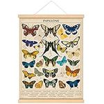 Vintage Papillons Butterflies Poste
