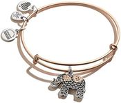 Alex And Ani Replenishment 19 Women