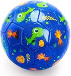 INPODAK Toddler Soccer Ball Size 2 Cartoon Ball Baby Soccer Ball Dinosaur Soccer Ball for Kids with Pump, Mesh Net and Box (Glitter Blue, Size 2)