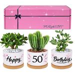 FORAGIFT 50th Birthday Gifts for Women - Beautiful Keepsake 50th Birthday Gifts for Her - Our Pretty Pots are Perfect 50 Year Old Birthday Gifts for Women Friends(Plants Not Included!)