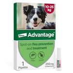 Advantage Spot On Flea Treatment For Large Dogs 10 - 25kg (1 pipette, 250mg), Kills Fleas Within 24 Hours, Prevents Further Infestation For Up To Four Weeks