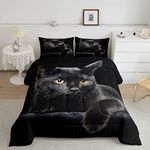 Erosebridal Cat Comforter Bedding Set King for Girls Kids,Black Lying On The Black Sofa Pattern Printed Set,Black Set,Pet Animal Soft Breathable Quilt with 2 Pillowcases (JCXS4483HJF-BZ_USk)