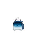 Coach Blue Eau de Toilette, 40 ml