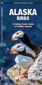 Alaska Birds: A Folding Pocket Guide to Familiar Species