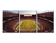 TUMOVO Empower Field at Mile High Canvas Wall Art Decor Football Sports Stadium Pictures for Living Room Bedroom Game Room Decoration Wall Art for Office Modern Artwork Poster Prints Framed 36"Wx16"H