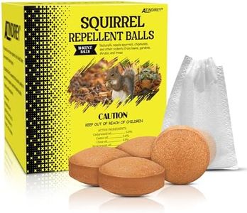 Squirrel R