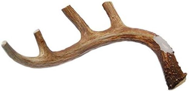 XL Deer An