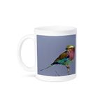 3dRose Mug_131783_1 Lilac-Breasted Roller Bird, Maasai Mara, Kenya Af21 Aje0784 Adam Jones Ceramic Mug, 11-Ounce