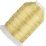 Simthread Variegated Polyester Embroidery Thread 5500Yards S148