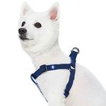 Blueberry Pet Essentialss Step-in Classic Dog Harness, Chest Girth 20" - 26", True Navy, Medium, Adjustable Harnesses for Dogs