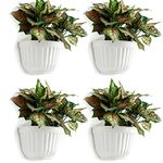 4 Pack Resin Wall Hanging Planter Pots Vertical Garden Living Wall Mount Window Hang Box Container Indoor Outdoor for Plants Flowers Kitchen Herbs Holder with Drainage Water Reservoir Decor White