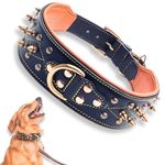 Bruby Premium Leather Dog Collar with Soft Padding, Brass Studs & Brass Spikes, Dog Neck Belt, Dog Belt, Genuine Leather Collar for Dog, 2 inch Width (Extra Large)