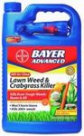 Bayer Lawn