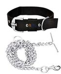 RvPaws Dog Belt Combo of 1 Inch Nylon Collar with Heavy Dog Chain 63 Inch Lengthy Dog Collar Chain (Black)