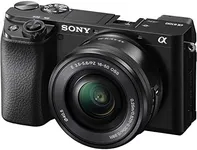 Sony Alpha A6100 Mirrorless Camera 