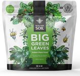 Big Green Leaves Indoor Plant Food 