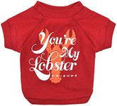 Friends the TV Show You're My Lobster Dog T Shirt in Red | Soft Dog Shirt, Machine Washable Pull-Over Dog Tshirt, Light Weight & Semi-Stretch | Size Large for All Large Dogs