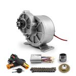 Electric Tricycle Motor Conversion Kit for Adults, Cargo 3 Wheel Bicycle, Brushed Gear, 450W, 24 in (36V 450W 27mm adapter)