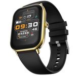 Fire-Boltt Ninja Call Pro Max Bluetooth Calling Smart Watch, 2.01" HD Display, 120+ Sports Modes, Health Suite, AI Voice Assistance, SpO2 & Heart Rate Monitor Smartwatch for Men & Women - Gold Black