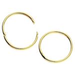 15MM 9ct Yellow Gold Hinged Hoop Earrings - 15MM Diameter