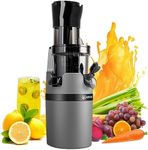 Masticating Juicer Machine for Whol