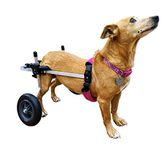 K9 Carts Rear Support Wheelchair - Small - White