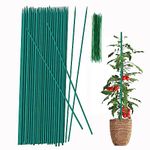 Plant Stake 17 Inch SupKing Wood Plant Sticks 30 Packs Orchid Stakes Sturdy Green Bamboo Plant Support Stake Gardening Floral Potted Plant Support