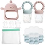 WEST STORY Baby Fruit Food Feeder Set, Includes Silicone Breastmilk Popsicle Freezer Mold, Teething Toy for Baby, 2 Teething Dummy Fruit Feeder 3 Size Nipples for Baby 3-24 Months (Blue & Pink)