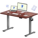 FLEXISPOT E1 Plus ONE PIECE Electric Standing Desk Height Adjustable Sit Stand Desk with Memory Smart Panel, Home Office(120 * 80cm, Gray Frame+Mahogany Desktop)