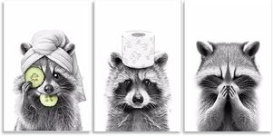 Funny Bathroom Decor Set of 3 Adorable Raccoon Bathroom Prints Black and white bathroom art Bathroom Canvas Wall Art Poster Farmhouse Pictures for Bathroom Home Aesthetic Room Decor 12x18inch Unframed