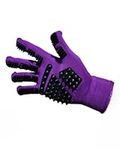 Barn Bug Pet Grooming Gloves - Gent