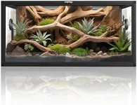 Phailozoo 50 Gallon Bearded Dragon 