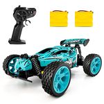 Tecnock RC Car Remote Control Car for Kids, 1:18 High Speed 20 KM/H 2WD RC Buggy, 2.4GHz Off Road Racing Car with Two Rechargeable Batteries, Toys Gift for Boys and Girls