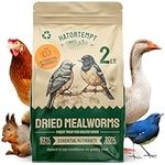 Hatortempt 2 lb Dried Mealworms for