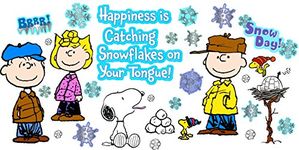 Paper Magic Group Eureka Peanuts Happiness is a Snowflake Bulletin Board Set, 39 Reusable Punch Out Pieces