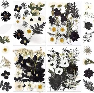 DALARAN Black Dried Pressed Flowers for Resin Molds, Bulk Real Natural Dry Floral for DIY Art Crafts, Epoxy Jewelry, Candle, Nails Decor, Phone Case,Soap Making