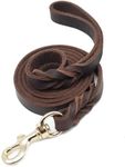 SFTORMAS Leather Dog Leash 6ftx3/4i